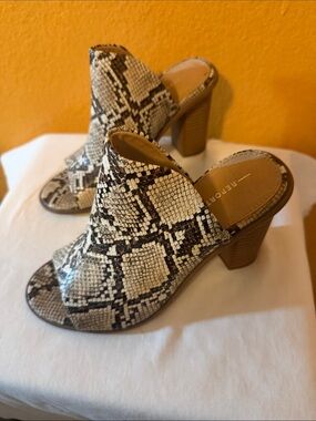 Report Snake-Print Open Toe Block Heel Mules in Beige and Black